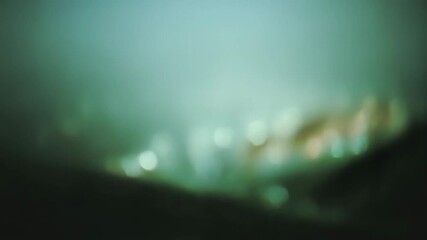 abstract green background with particles, bokeh