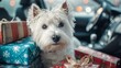 © Ashi - Adorable white terrier dog sitting in a car surrounded by christmas gifts, festive holiday decorations, and wrapped presents, capturing a joyful winter travel scene with warm seasonal spirit and celeb