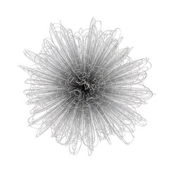 Wall Mural - Abstract flower with intricate wireframe design, creating a delicate and modern visual isolated on white background