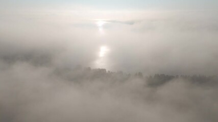 Wall Mural - Dense morning fog at Lake Superior shoreline at Ontario Canada