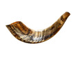 © Jahangir - Curved Ram’s Horn Shofar on Wooden Table with Warm Natural Lighting isolated on transparent background PNG