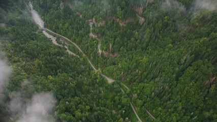 Wall Mural - High flying aerial footage over a trail path leading forest a dense pine wood forest in a valley in Southern France. Video starts panned down and pans up to reveal the vast area and low lying clouds.