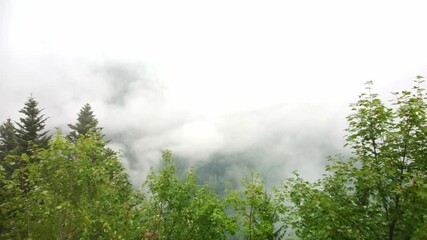 Wall Mural - Low lying clouds on a mountain area of pine trees in South France. Aerial video heads out straight forwards before panning down revealing the drop into the valley with the fog over the dense forest.