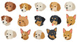 © Maureen - Cute cartoon dog heads collection with various breeds on white background