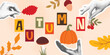 © Iry - Modern autumn collage with cutout letters, leaves, pumpkins, acorns. Playful and fun banner with fall forest elements and halftone hands. Composite seasonal template, vector graphic