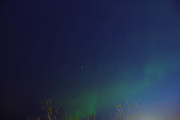 Wall Mural - Aurora borealis, polar lights with Milky Way stars.