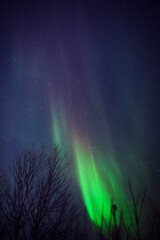 Wall Mural - Aurora borealis, polar lights with Milky Way stars.