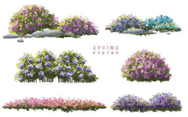 Wall Mural - vector watercolor of blooming tree top view isolated on white background for landscape plan and arch