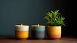 © pinporn manosri - Cozy home decor scene featuring three beautifully designed candles and a vibrant green plant, creating a warm and inviting atmosphere perfect for relaxation and wellness.