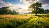 A radiant sun bathes a meadow, illuminating a pathway winding through vibrant wildflowers and lush grasses, with large trees anchoring the scene