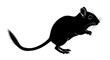 © Muslima - Black silhouette of a small rodent isolated on white background