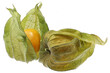© Björn Wylezich - physalis fruits isolated on white background
