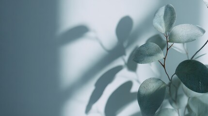 Canvas Print - Delicate Frosted Glass Sheet with Soft Shadows and Leafy Accents
