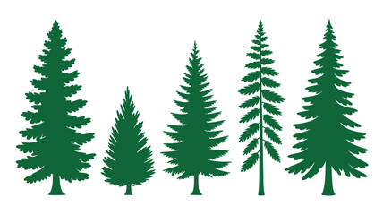 Collection of diverse green pine trees silhouette for nature and forest themed designs