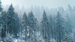 © Johannes - frozen winter forest with snow covered trees outdoor no logos no brands ar 169