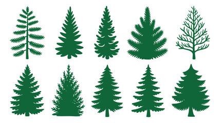 Collection of diverse green coniferous trees and pine tree silhouettes for nature design