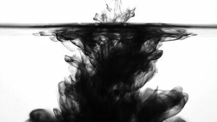 Poster - Abstract slow motion of rich black ink gracefully expanding and swirling in clear water magic, texture, smooth