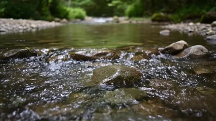 Wall Mural - Gentle river current slowly flowing over smooth, moss-covered river stones in a pristine natural environment nature, peaceful, tranquil