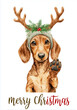 © SolariArt - Cute dog wearing reindeer antlers and Christmas hat waving paw