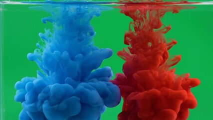 Wall Mural - Organic blue and red ink diffuses gracefully in slow motion through clear water on a green screen creative, red, colorful