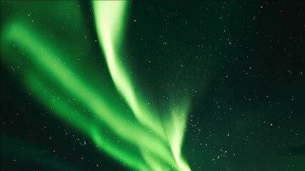 Wall Mural - A captivating aurora lights up the night sky with mesmerizing green and blue hues.