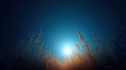 Wall Mural - Tranquil Winter Landscape with Moonlight Reflecting on Frosty Grass in a Serene and Dreamlike Atmosphere