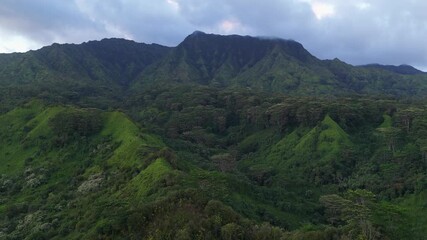Wall Mural - 4K Aerial of Lihu'e-Koloa Forest Reserve at sunset, in Kauai, Hawaii, USA..