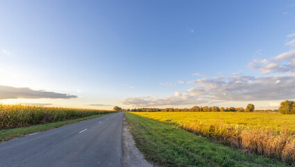Wall Mural - Road with a clear blue sky in the background