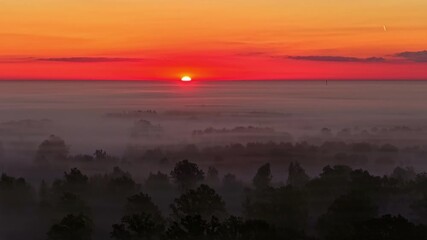 Wall Mural - Sunrise colors the sky red above a misty forest, creating a peaceful natural scene