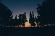 © SHOTPRIME STUDIO - Silhouetted trees at sunset with deep blue sky and warm orange horizon creating peaceful nature landscape in film color mood.