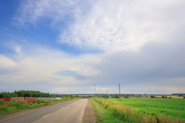 Wall Mural - Road with a few birds flying in the sky