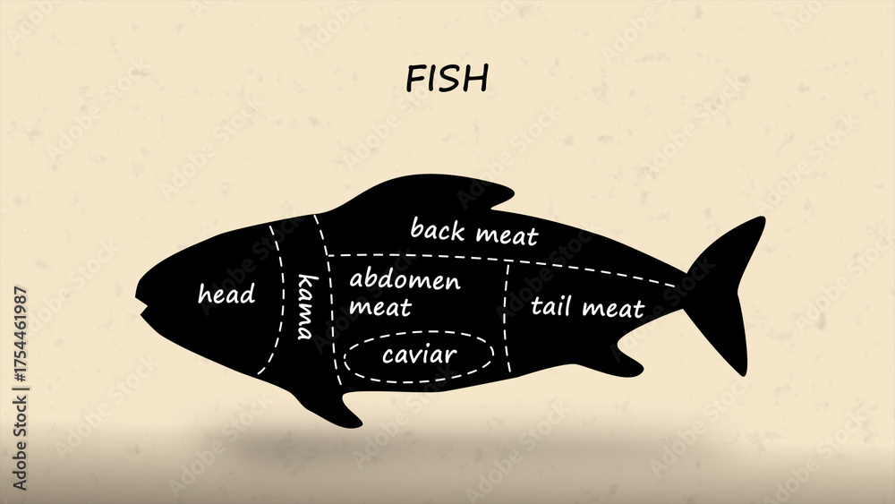 Stock-Illustration „Butcher diagram of fish showing labeled meat ...