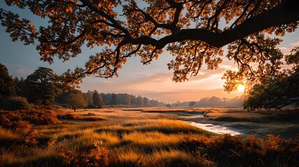 Wall Mural - Golden autumn sunset over a tranquil meadow in a wide-angle landscape photo. An oak branch with orange leaves frames the sky in a serene view.