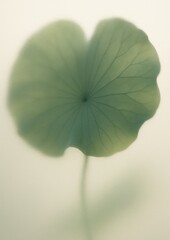 Wall Mural - Serene leaf silhouette design.