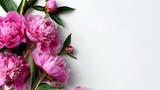 Biglietto d'auguri con peonie rosa sul bordo e spazio per testo. Elegante e romantico