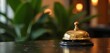© miss irine - Classic shiny brass service bell on table near green plant. Elegant hotel interior design element. Concept for luxury service, concierge, hospitality, call attention in office