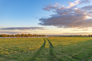 Wall Mural - Field of grass with a path running through it