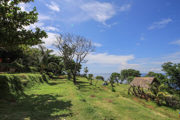 Wall Mural - Lush green field with a small hut in the distance