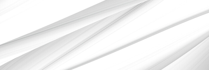 Wall Mural - abstract white and silver are light pattern gray with the gradient is the with floor wall metal texture soft tech diagonal background black dark clean modern.