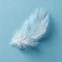 Wall Mural - Delicate White Feather Resting on Clean Light Blue Background