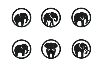 Wall Mural - Elephant Logo Variations. Elephant Performance. Set Logo of Elephant Performance: elephant and ring. harmonious logo variations of the same emblematic concept,