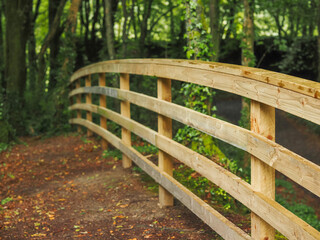 Wall Mural - Wooden fence in a forest park by a walking path. Selective focus.