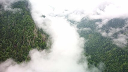 Wall Mural - White clouds lying on a mountain range forest. Aerial drone footage flies forward over this cloud.