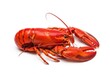 © Fazlur - Delicious cooked red lobster ready for seafood dining cuisine preparation and serving
