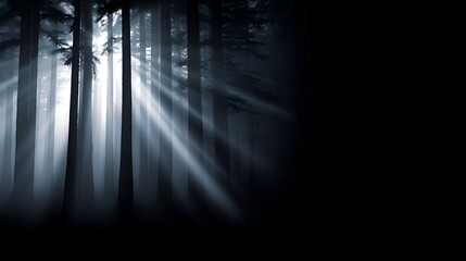 Wall Mural - Mysterious forest scene with beams of light filtering through tall trees at dusk, creating an ethereal atmosphere