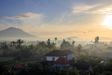 Wall Mural - Mountain range is visible in the background of a town with houses and trees