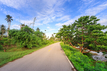 Wall Mural - Road with trees on either side and a clear blue sky