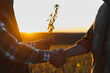© Serhii - Farmers making a handshake deal in soybean field at sunset