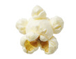 © ACG Studio - Single popcorn kernel isolated.