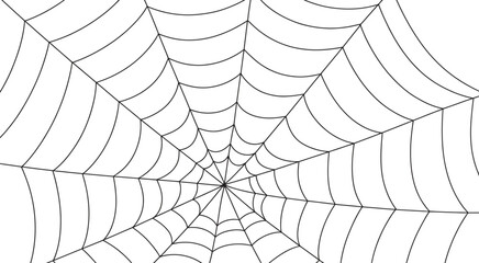 Spider Web Vector Illustration – Symmetrical Cobweb Design for Halloween, Nature, and Creepy Art 